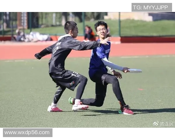 飞盘竞技的魅力与挑战：深入了解北京飞盘队的成长与成就